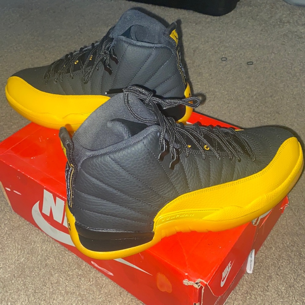 Air Jordan 12 retro